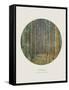 Old Masters, New Circles: Tannenwald (Pine Forest), c.1902-Gustav Klimt-Framed Stretched Canvas