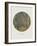 Old Masters, New Circles: Tannenwald (Pine Forest), c.1902-Gustav Klimt-Framed Art Print