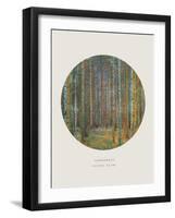 Old Masters, New Circles: Tannenwald (Pine Forest), c.1902-Gustav Klimt-Framed Art Print