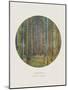 Old Masters, New Circles: Tannenwald (Pine Forest), c.1902-Gustav Klimt-Mounted Art Print