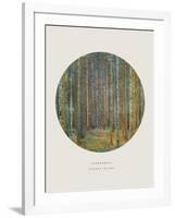 Old Masters, New Circles: Tannenwald (Pine Forest), c.1902-Gustav Klimt-Framed Art Print