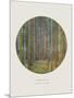 Old Masters, New Circles: Tannenwald (Pine Forest), c.1902-Gustav Klimt-Mounted Art Print