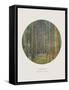 Old Masters, New Circles: Tannenwald (Pine Forest), c.1902-Gustav Klimt-Framed Stretched Canvas