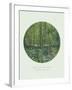 Old Masters, New Circles: Trees and Undergrowth, c.1887-Vincent van Gogh-Framed Art Print