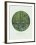 Old Masters, New Circles: Trees and Undergrowth, c.1887-Vincent van Gogh-Framed Art Print