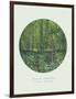 Old Masters, New Circles: Trees and Undergrowth, c.1887-Vincent van Gogh-Framed Art Print