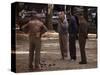 Old Men Playing Petanque, Nimes, Gard, Provence, France-John Miller-Stretched Canvas