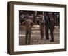 Old Men Playing Petanque, Nimes, Gard, Provence, France-John Miller-Framed Photographic Print