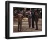 Old Men Playing Petanque, Nimes, Gard, Provence, France-John Miller-Framed Photographic Print