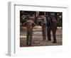 Old Men Playing Petanque, Nimes, Gard, Provence, France-John Miller-Framed Photographic Print