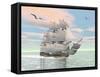 Old Merchant Ship Sailing in the Ocean with Seagulls Above-null-Framed Stretched Canvas