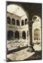 Old Mexico II-null-Mounted Photographic Print