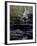 Old Mill in Fall, USA-Michael Brown-Framed Photographic Print