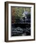 Old Mill in Fall, USA-Michael Brown-Framed Photographic Print