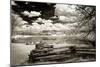 Old Mill Lake-Alan Hausenflock-Mounted Photographic Print