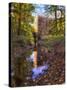 Old Mill Reflection, Chatham, New Jersey-George Oze-Stretched Canvas