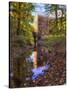 Old Mill Reflection, Chatham, New Jersey-George Oze-Stretched Canvas