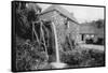 Old Mill, Vallee Des Vaux, Jersey, 1924-1926-null-Framed Stretched Canvas