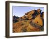 Old Millstones, Peak District National Park, Stanard Edge, Derbyshire, England-Neale Clarke-Framed Photographic Print