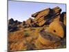 Old Millstones, Peak District National Park, Stanard Edge, Derbyshire, England-Neale Clarke-Mounted Photographic Print