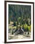 Old Mine, Red Mountain Pass, San Juan Skyway, Us Highway 550, Colorado, USA-Cindy Miller Hopkins-Framed Photographic Print