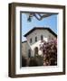 Old Mission San Luis Obispo De Tolosa, San Luis Obispo, California, USA-Michael DeFreitas-Framed Photographic Print
