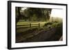 Old Mission Santa Barbara in California-null-Framed Photographic Print