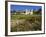 Old Mission Santa Barbara, Santa Barbara, California, United States of America, North America-Richard Cummins-Framed Photographic Print