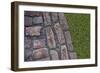 Old Montreal Cobblestones and Grass 01-Tina Lavoie-Framed Giclee Print