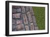 Old Montreal Cobblestones and Grass 01-Tina Lavoie-Framed Giclee Print