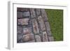 Old Montreal Cobblestones and Grass 01-Tina Lavoie-Framed Giclee Print