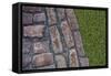 Old Montreal Cobblestones and Grass 01-Tina Lavoie-Framed Stretched Canvas