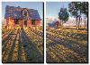 Old Mormon House and Long Shadows, Wyoming-Vincent James-Stretched Canvas