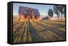 Old Mormon House and Long Shadows, Wyoming-Vincent James-Framed Stretched Canvas