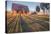 Old Mormon House and Long Shadows, Wyoming-Vincent James-Stretched Canvas