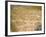 Old Mosaic Map of the World in St. Georges Church, Madaba, Jordan, Middle East-Richardson Rolf-Framed Photographic Print