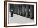 Brown Frame