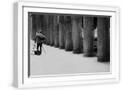 White Frame
