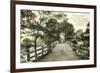 Old North Bridge, Concord-null-Framed Art Print