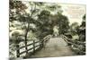 Old North Bridge, Concord-null-Mounted Art Print