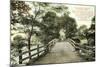 Old North Bridge, Concord-null-Mounted Art Print