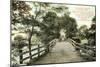 Old North Bridge, Concord-null-Mounted Premium Giclee Print