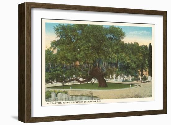 Old Oak, Magnolia Cemetery, Charleston, South Carolina-null-Framed Art Print