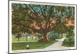 Old Oak, Tampa, Florida-null-Mounted Art Print