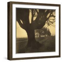 Old Oak Tree on Tree Lined Road-Kevin Cruff-Framed Photographic Print