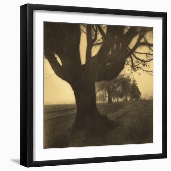 Old Oak Tree on Tree Lined Road-Kevin Cruff-Framed Photographic Print