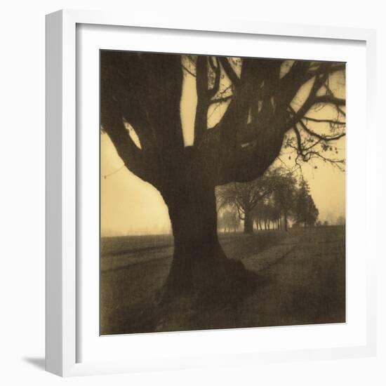 Old Oak Tree on Tree Lined Road-Kevin Cruff-Framed Photographic Print