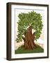 Old Oak Tree-Milovelen-Framed Art Print