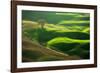 Old Oak-Marcin Sobas-Framed Photographic Print