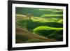 Old Oak-Marcin Sobas-Framed Photographic Print